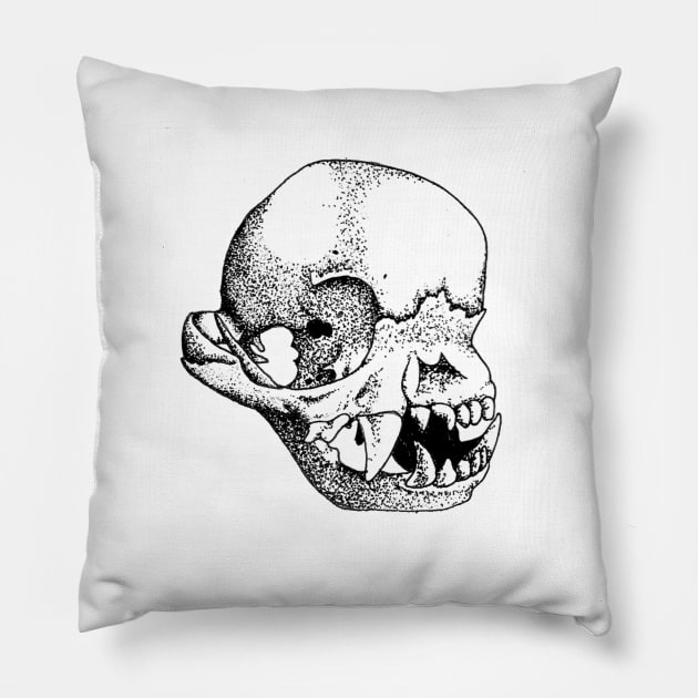 Boston Terrier Skull Pillow by Art of V. Cook