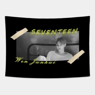 Kpop Design Jun Seventeen Tapestry