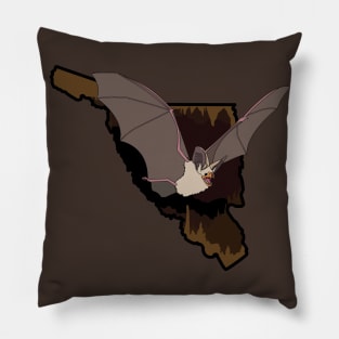 Pallid Bat Pillow