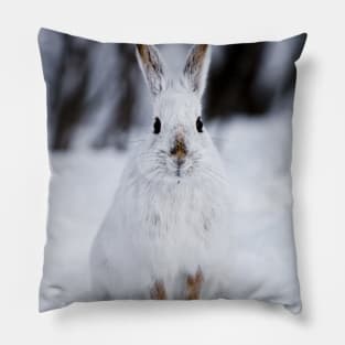 Snow Shoe Hare Pillow