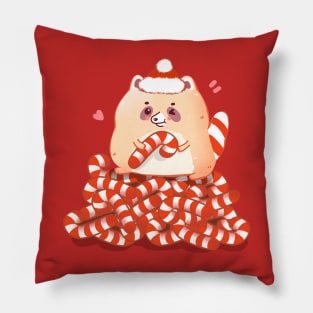 Candy Cane Racoon Pillow