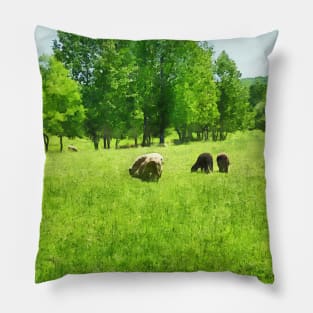 Sheep - Grazing Sheep Pillow