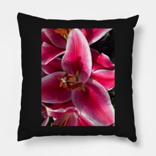 Pink Lily Riot Pillow