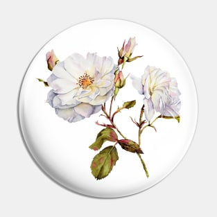 Watercolor botanical vintage Floral minimalist print- wild rose Pin