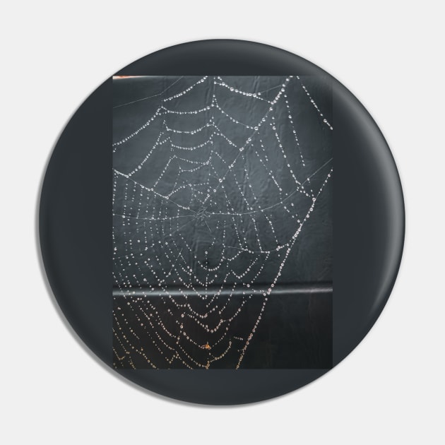 Spider Web Pin by Ckauzmann