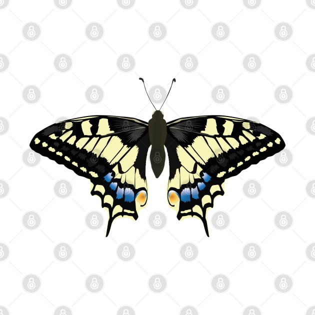 A swallowtail butterfly spreads its wings by Vectorguy