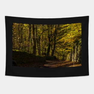 Lane at Lumsdale Falls Tapestry