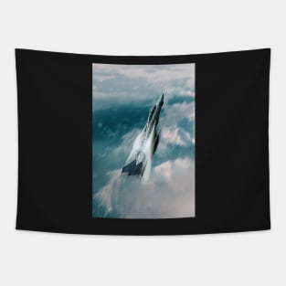 Tomcat Rocket Tapestry