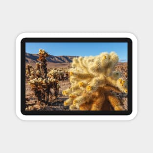 Jumping Cholla Magnet