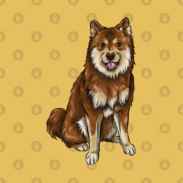 Finnish Lapphund Dog | Chocolate and Tan by Shirin Illustration