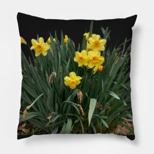 Clump of Daffodils Pillow