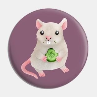 Pet rat eating cucumber Pin