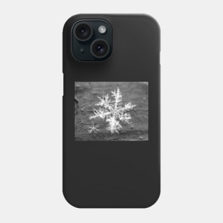 Snowflake abstract winter crystal macro six sided Family Phone Case