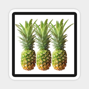 Watercolor Pineapples Tropical Fruit Magnet