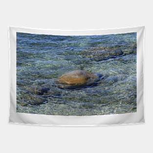 Lake Tahoe California Beach with colorful water Tapestry