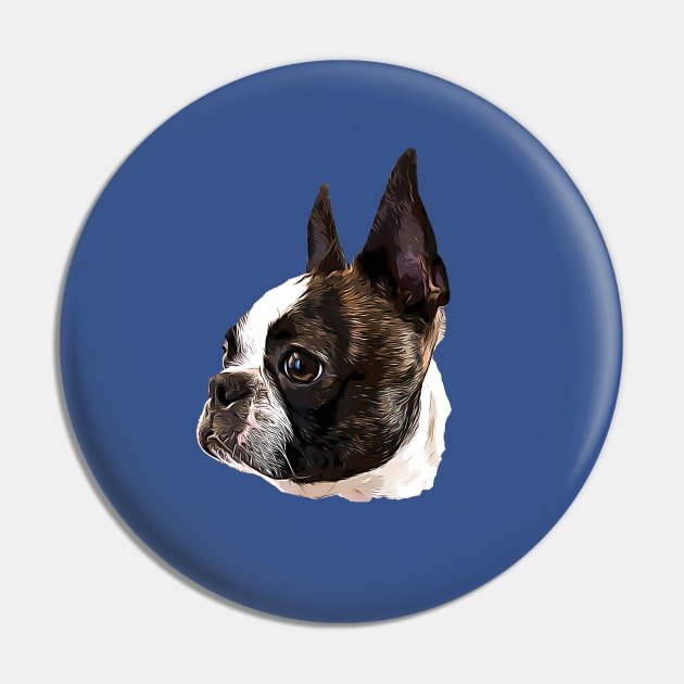 Boston Terrier Stunning Dog! Pin by ElegantCat