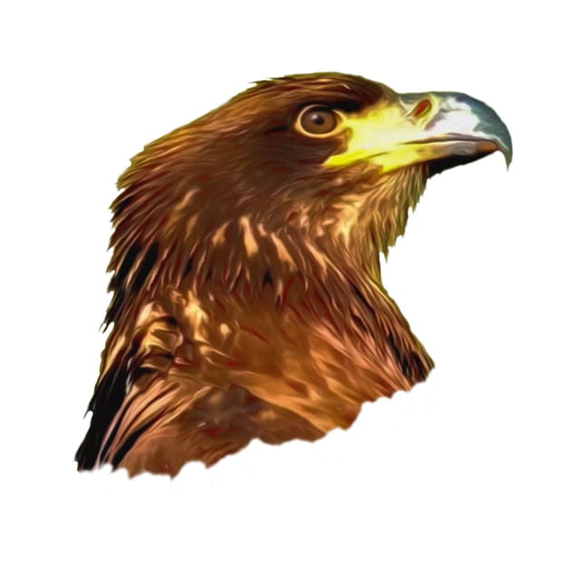 Eagle by Guardi