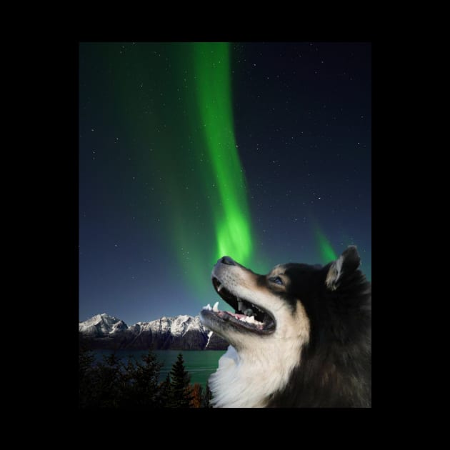 Northern lights lappie by Finn Art by MB