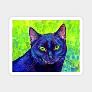 Colorful Black Cat with Green Eyes Magnet