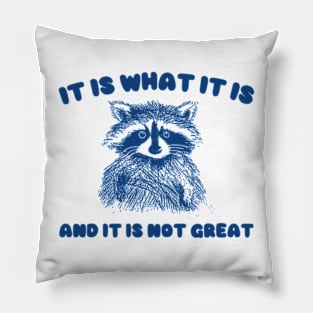 It Is what it is and it is not great, Cartoon Meme Top, Vintage Cartoon Sweater, Unisex Pillow