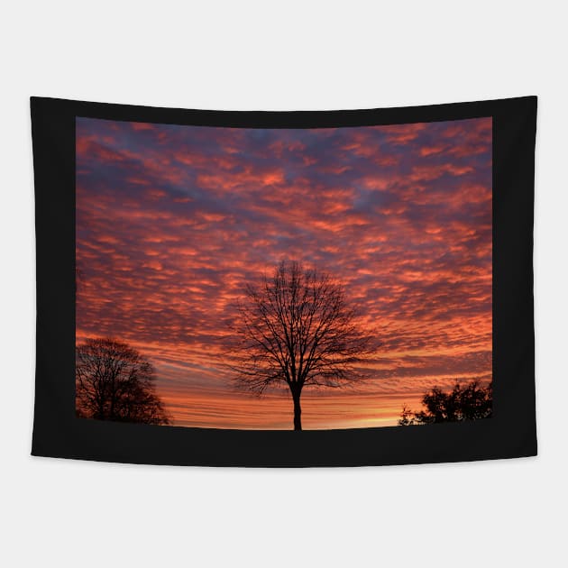 A glorious sunrise Tapestry by Trine