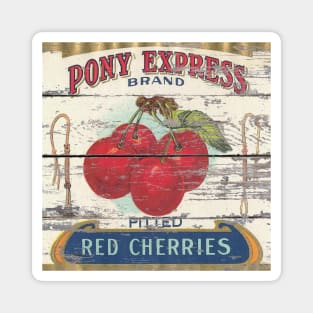 dark academia Retro advertisement orchard fruit french country red cherry Magnet