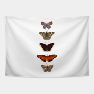 California Butterflies Tapestry