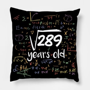 Square Root of 289 Years Old // Funny Math Birthday // 17 Years Old Pillow