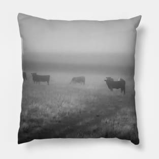 the graze Pillow