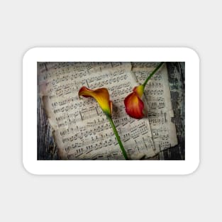 Calla Lillies On Sheet Music Magnet