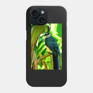 Nicaragua - Oiseau de l' ilsa de Ometepe Phone Case