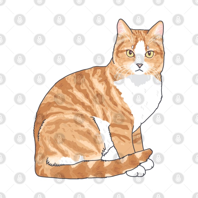 Orange Tabby Cat by Csieben