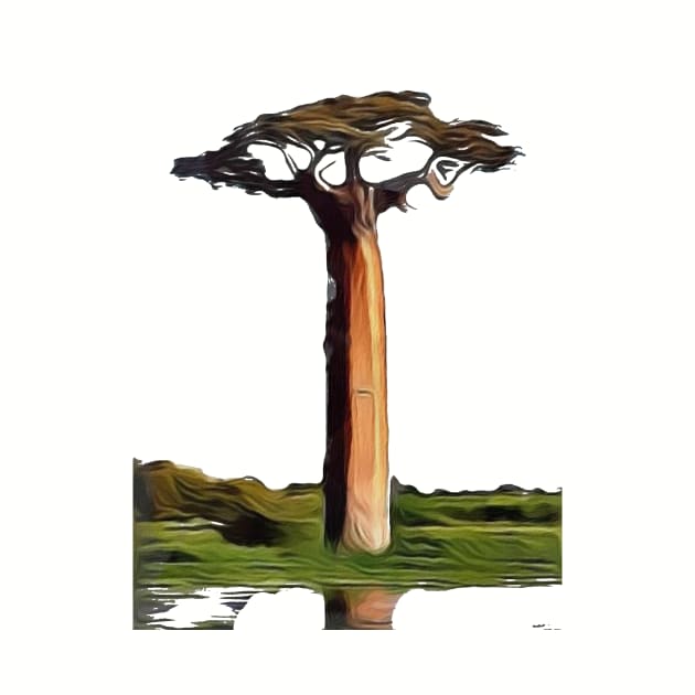 baobab tree by jamer