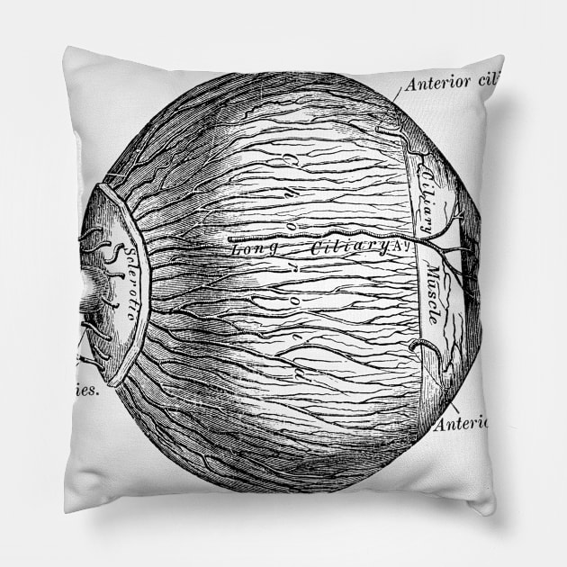 Human Eyeball Pillow by be yourself. design