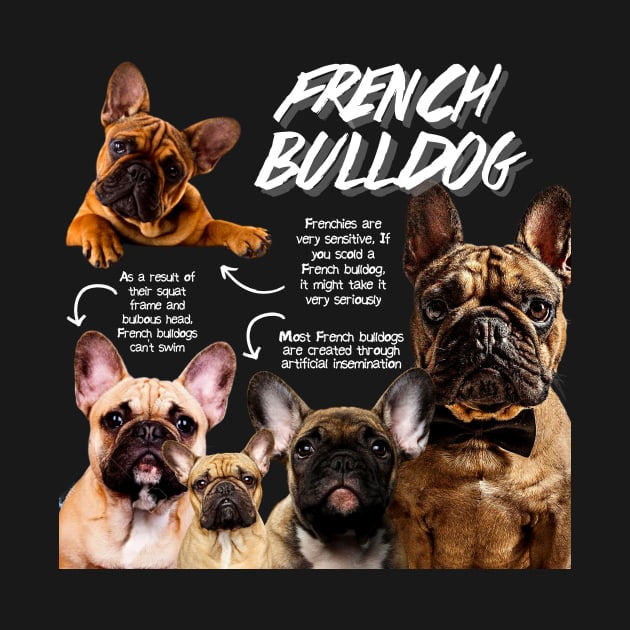 French Bulldog fun Facts by Animal Facts and Trivias