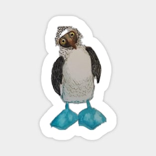 Blue footed booby bird Magnet