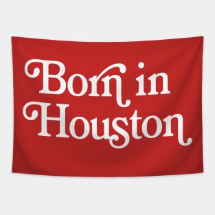 Born In Houston - Boston Pride Typography Design Tapestry