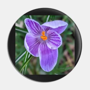 Purple, Orange and White Flower 2 Pin