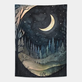 snowy starry night and moonlite in Kleeland Tapestry