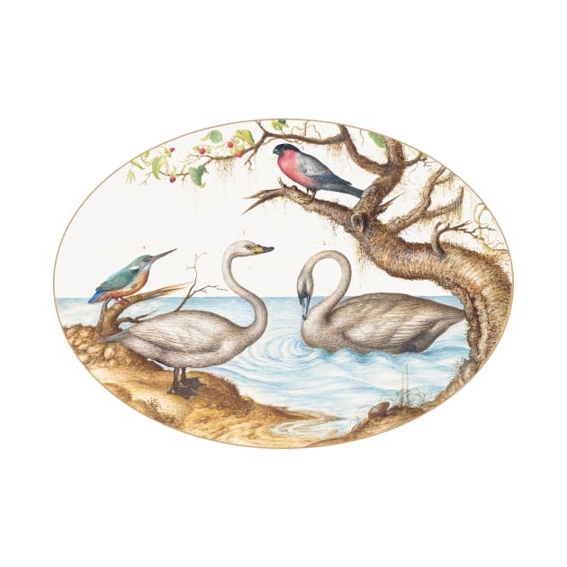 Two Swans, Kingfisher, and Bullfinch (1575–1580) by WAITE-SMITH VINTAGE ART