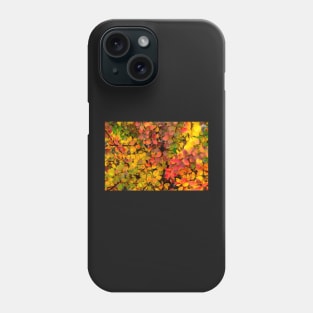 Autumn background of barberry bush Phone Case