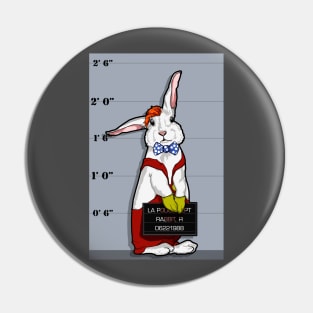 This Bunny was framed! Pin