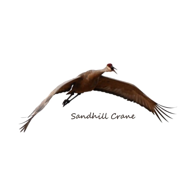 Sandhill Crane in Flight by Whisperingpeaks