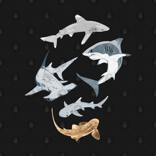 Types of Sharks Collection by NicGrayTees