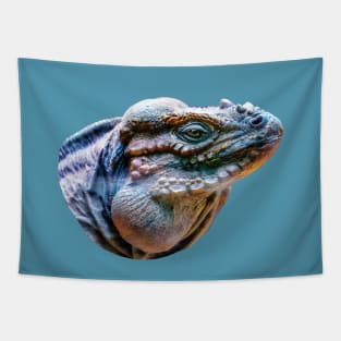 Rhinoceros Iguana Tapestry