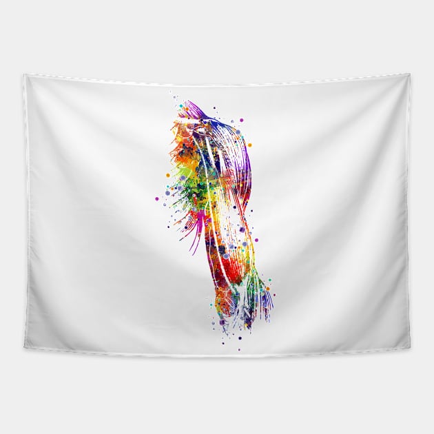 Arm Muscles Watercolor Anatomy Tapestry by LotusGifts