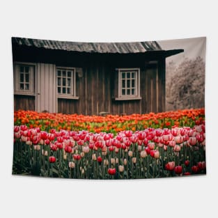 Ancient ,vintage village house with tulip , flower garden Tapestry