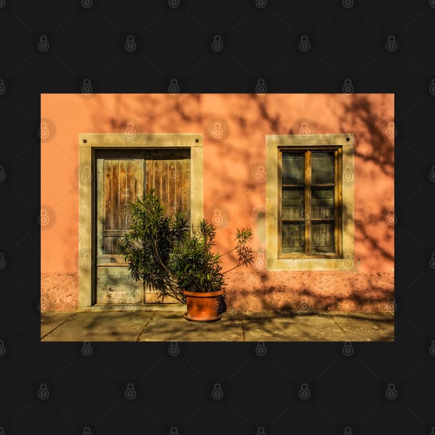 Door and Window in Buzet, Croatia by jojobob