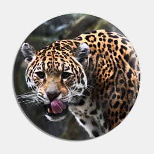 Jaguar Tarnung / Swiss Artwork Photography Pin