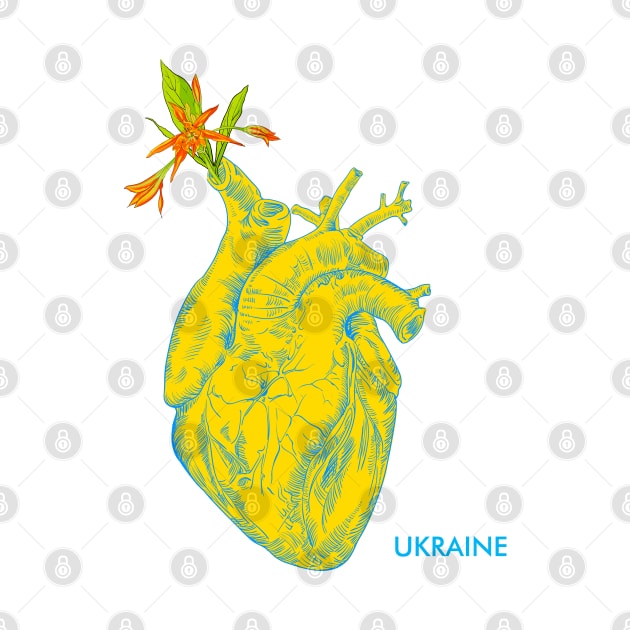 I love Ukraine, an anatomical heart in the colors of the flag. by Olga Berlet